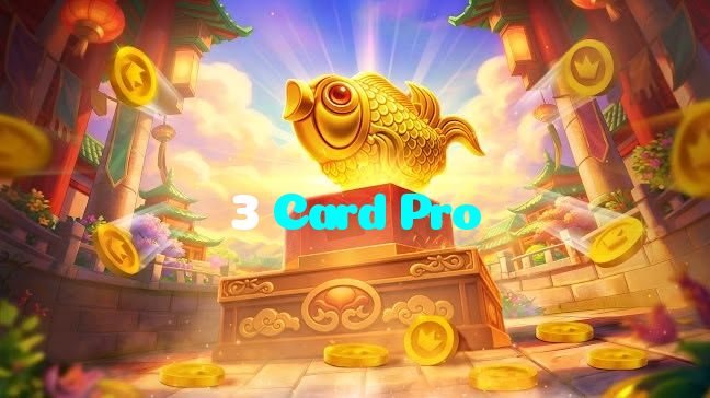 available types of 3 Card Pro bet including pre-match live express and system bets
