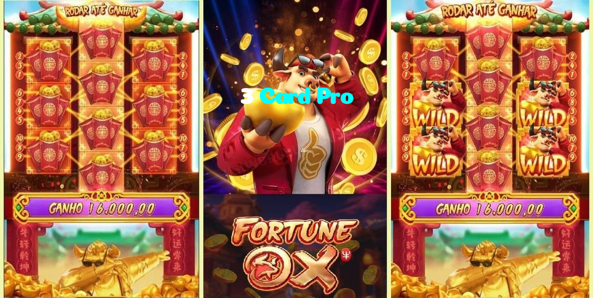 3 Card Pro